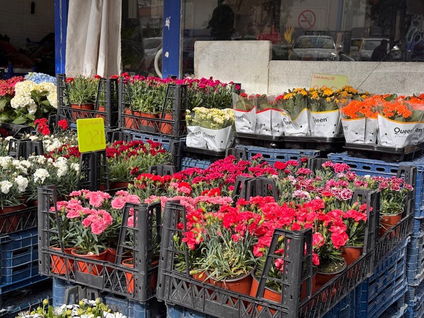 A display of vibrant outdoor flower arrangements featuring pink, red, white, yellow, and orange blossoms, arranged in terracotta pots and wrapped in white paper with black branding. The potted flowers