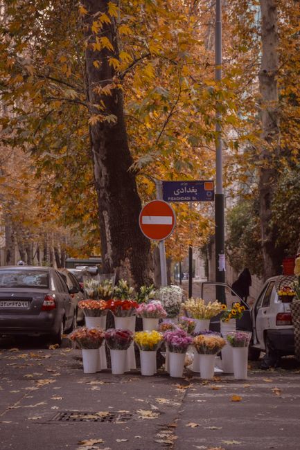 An outdoor street scene featuring a display of fresh floral bouquets arranged in white buckets, positioned on the pavement beneath tall trees with vibrant orange and yellow autumn leaves. The bouquets
